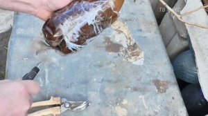 Воздушные отводки - метод размножения деревьев. Результат.