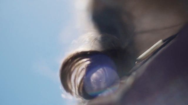 Herbal Essences Bio:Renew Shampoo Collection "Let Life In" Master Commercial (2017) смотреть онлайн