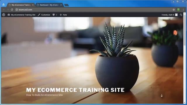 WordPress E-Commerce: Start Your Own Online Dropshipping Store With Woocommerce смотреть онлайн