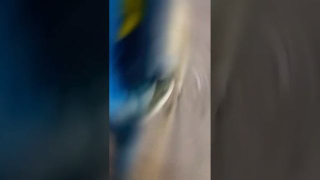 Купил питбайк Geon 125 кубов #питбайк смотреть онлайн