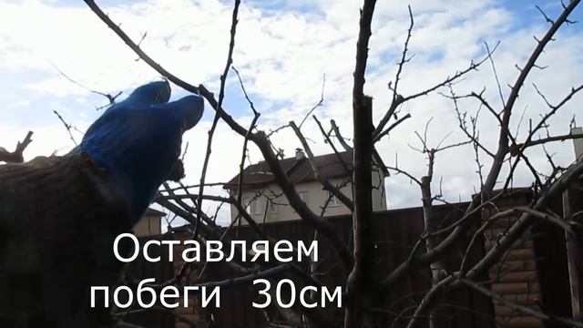 Об обрезке и обработке срезов. смотреть онлайн