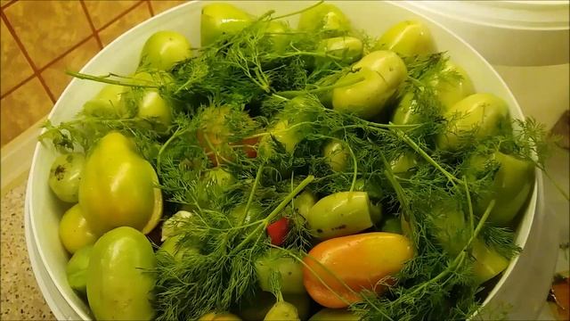 Квашеные помидоры смотреть онлайн