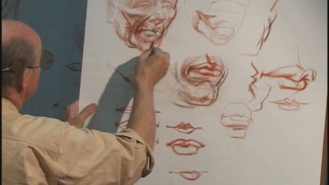 Anatomy of the Head 2: Detailed Examination and Tutorial Drawings #anatomy #headanatomy #academia смотреть онлайн