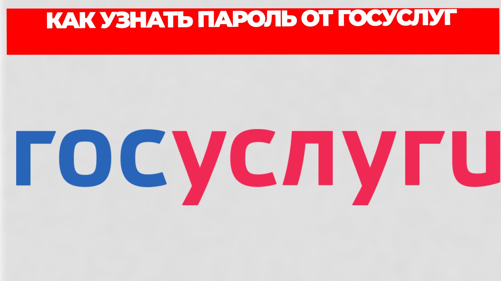 Всезнающий Енот