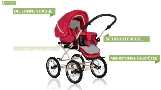 Friedrich Hugo | Natureline | 4 in 1 Kinderwagen-Kombination смотреть онлайн