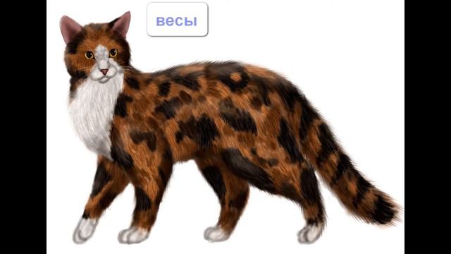 знаки задиака котов воителей. смотреть онлайн