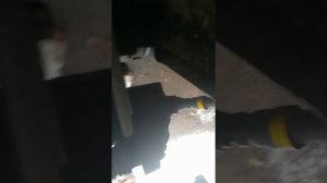 Стук в передней подвеске Калина