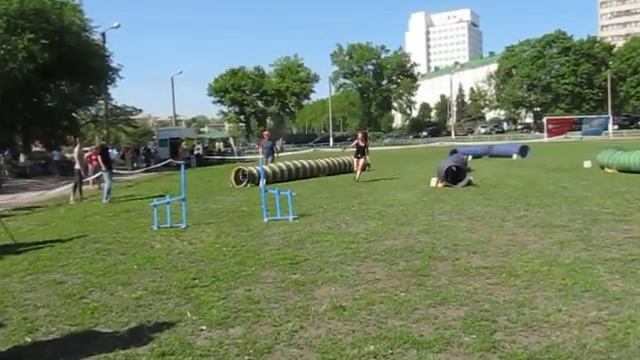 Иващенко Александра и бордер колли Ася туннельные дебют смотреть онлайн