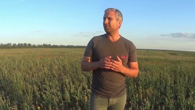 Почему мне не нужна собака....mp4 смотреть онлайн