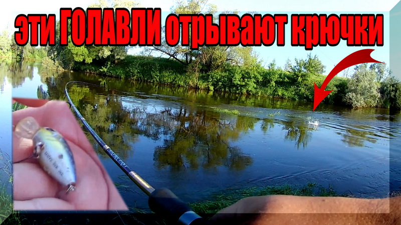 Когда лучше ловить ГОЛАВЛЯ, утром, днем или вечером. Мощные поклевки, аж крючки не выдерживают. смотреть онлайн