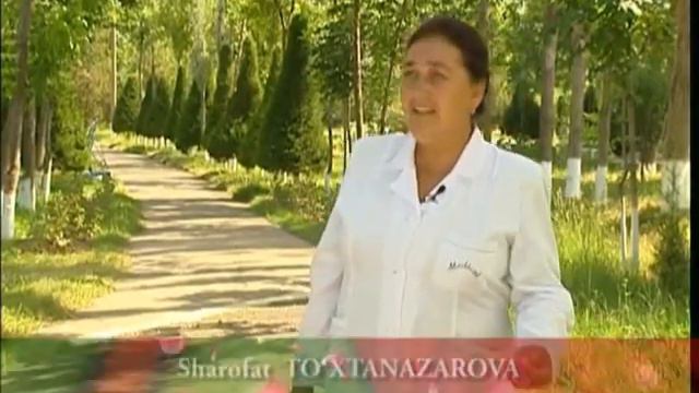 ЧИННИГУЛ ОПА ФИДОКОР ИНСОН 1 КИСИМ смотреть онлайн