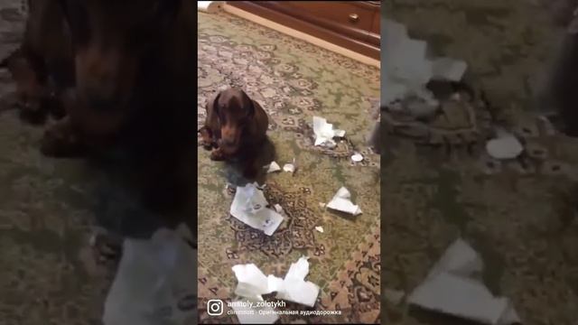 859 Всероссийский кузовной цех смотреть онлайн