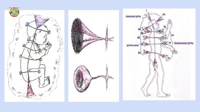 Корневая чакра Муладхара - основа жизни человекаThe Muladhara root chakra is the basis of human lif смотреть онлайн