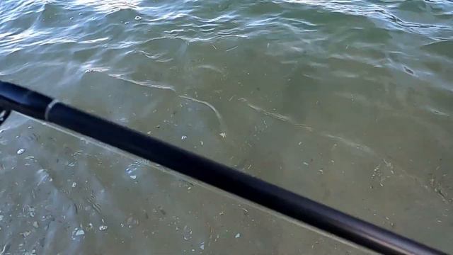 Lucky craft surf pointer 100/ Good fight with Big butterfly ray in Bolsa Chica State Beach 볼사치카 루어낚 смотреть онлайн