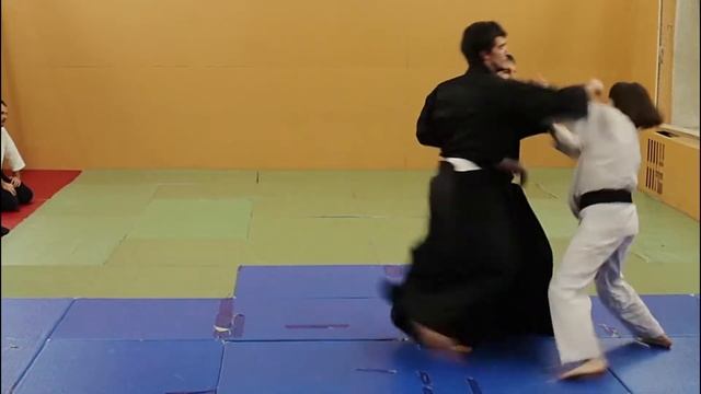 Айкидзюдзюцу, Айкидо, Японские единоборства. Вольф Валерий Павлович, Санкт - Петербург, смотреть онлайн