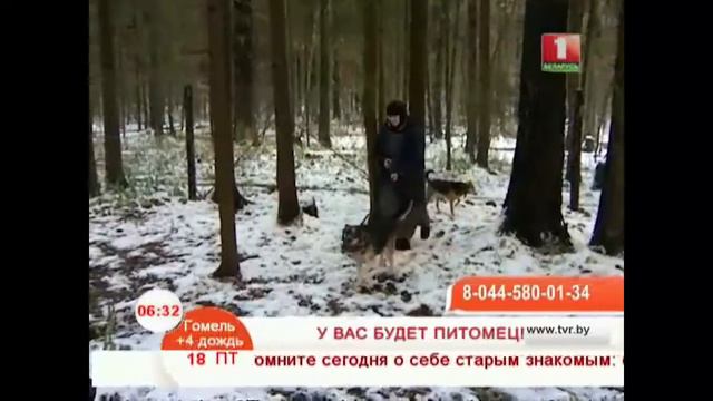 У вас будет питомец смотреть онлайн