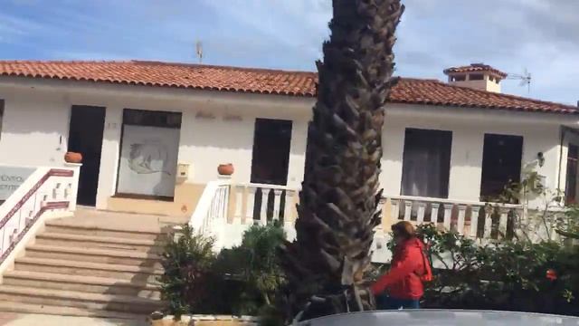 Тенерифе. Пуэрто-де-ла-Круз. 12.02.2018 смотреть онлайн