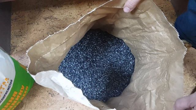 дефіцит насіння на 2023р? А у нас бомбовий гібрид під гранстар - Рекольд!