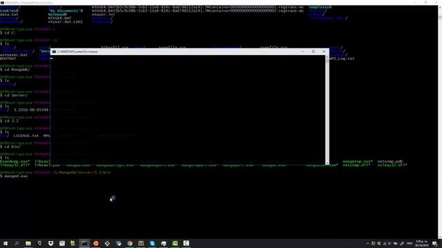 MongoDB and Pymongo - Getting Started (Shitty Windows) смотреть онлайн