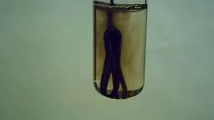 Взаимодействие меди с концентрированной серной кислотой