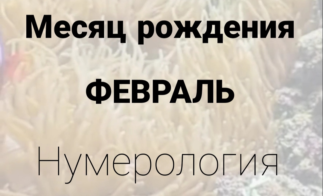 МЕСЯЦ РОЖДЕНИЯ ФЕВРАЛЬ | НУМЕРОЛОГИЯ

#НумерологФотиния #МесяцРождения #Февраль
