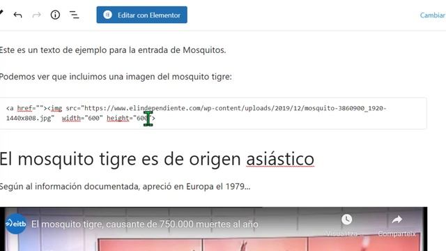 ⚡️ Cómo INCRUSTAR IMÁGENES en WORDPRESS por HTML 【 Sin Descargar 】 - Paso a Paso смотреть онлайн