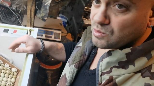 Адаптация после доставки яиц или стерилизация яиц перед закладкой в инкубатор. смотреть онлайн