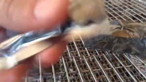 Терморегулятор термостат для инкубатора. Распаковка с AliExpress.