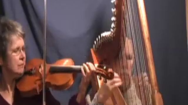 Daily Harp Moments-Fascination