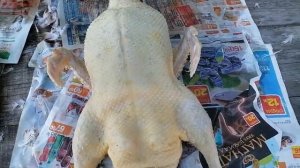 Убираем уток ГОЛУБОЙ ФАВОРИТ.