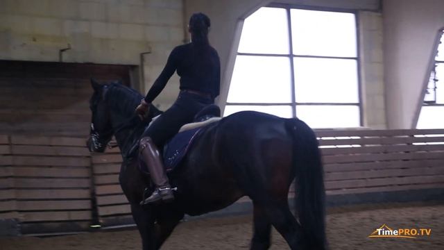 УКРАИНСКАЯ ВЕРХОВАЯ - ОЧЕНЬ КРАСИВАЯ ПОРОДА ЛОШАДЕЙ. ВЫЕЗДКА И ДЕМОНСТРАЦИИ ЛОШАДИ смотреть онлайн