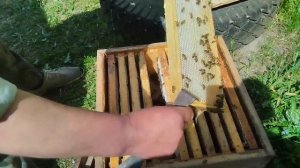 Ответ от Пчеловодов и Матководов использующих мой материал "деревенщине"