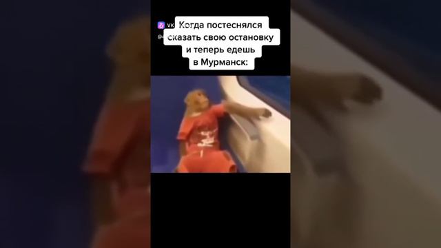 Лайки и подписки взаимно! #автомобиль #авто #бмв #мерседес #ауди #прикол #угар #музыка #вмашину #гон смотреть онлайн