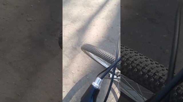 19 апреля 2023 г. смотреть онлайн