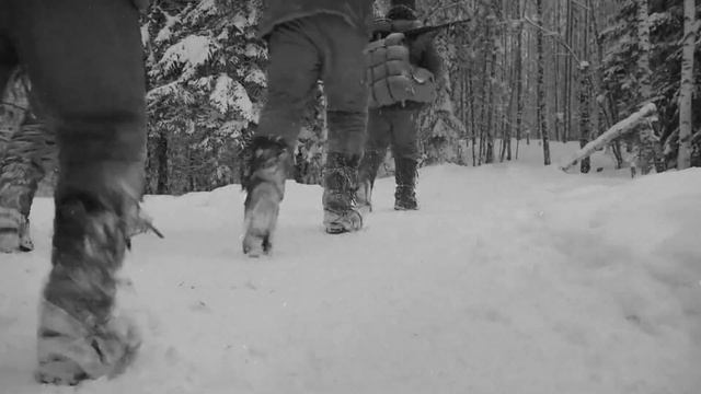 Brian Eno - Taking Tiger Mountain смотреть онлайн