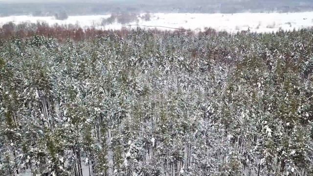 Красота России. Владимирская область зимой с коптера смотреть онлайн