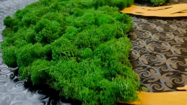 Дерево из мха смотреть онлайн