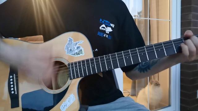 Noize MC - Ругань из-за стены и кот смотреть онлайн