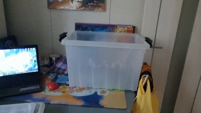 Влог/Куча каналов/Контейнер аж плакать хочется/Друг с дачи передал/Хомяк переезжает смотреть онлайн