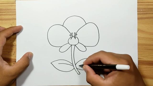 How to draw ORCHID FLOWER with easy смотреть онлайн