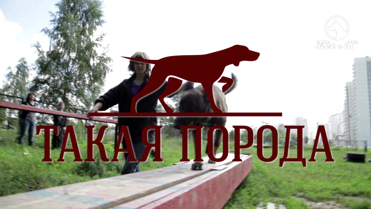 Такая порода