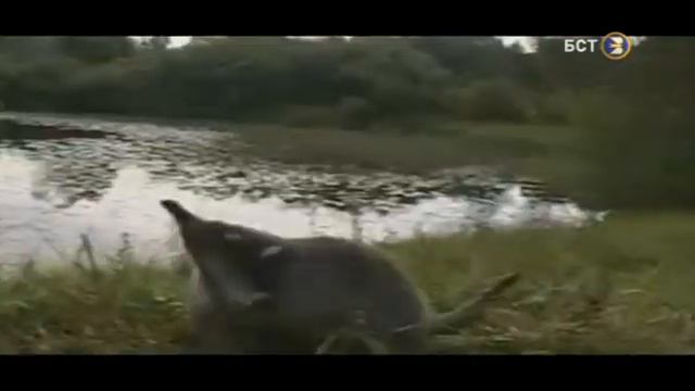 УЧИМ БАШКИРСКИЙ ЯЗЫК смотреть онлайн