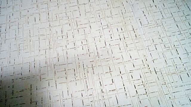 Видео с веб-камеры. Дата: 23 июня 2014 г., 21:18. смотреть онлайн