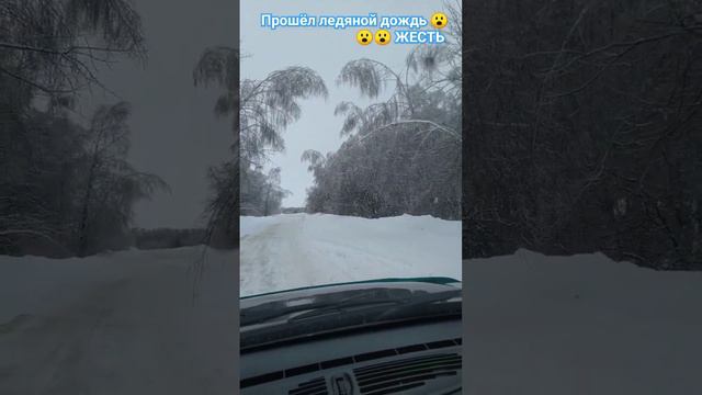 Природа , отдых , лес , рыбалка 🌲🌀🌲❄️🌲🌧️🌲🌲😮😮😮❄️🌧️❄️🌀🌧️ смотреть онлайн