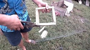 Ловушка на Куницу// Ласку///Кошку// Как поймать куницу или ласку