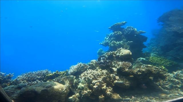 Эйлат Часть 5. Подводная обсерватория. Eilat Part 5. Underwater observatory. אילת חלק 5 מצפה תת-ימי смотреть онлайн