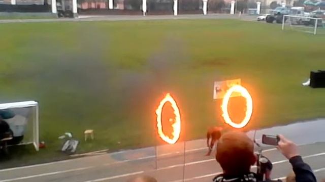 Ижевск:Монстр трак смотреть онлайн