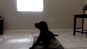 Relaxation Protocol Day 10
