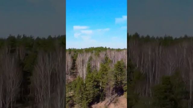 Озеро Глухое, Марий Эл, Национальный парк Марий Чодра смотреть онлайн