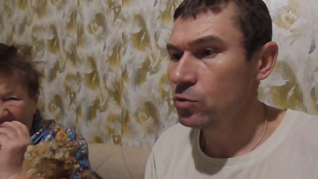 Котлеты из ГРИБОВ ВЕШЕНОК ВАРЁНЫХ или СЫРЫХ! КАКИЕ ВКУСНЕЕ?! смотреть онлайн